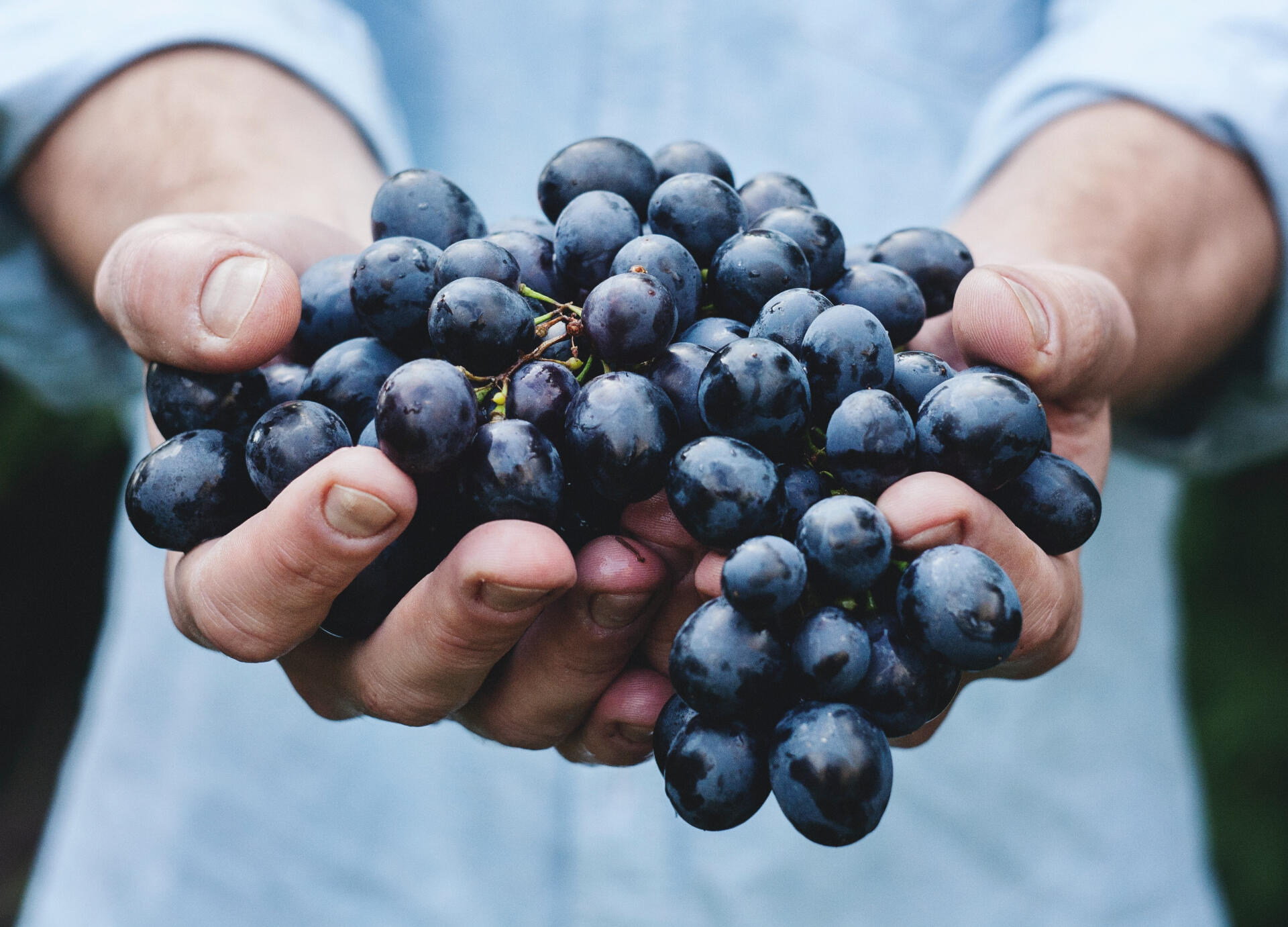 Photo by Maja Petric on Unsplash
